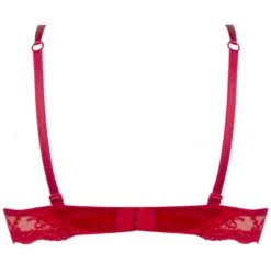Gefütterter Seiden BH SPLENDEUR SOIE Von Lise Charmel -MAISON LEJABY Verkaufsgeschäft bh gefuettert seide acc8580b rot 2478 splendeur soie lise charmel 1