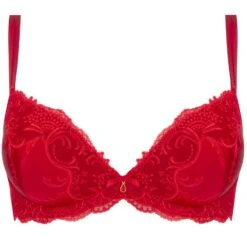 Gefütterter Seiden BH SPLENDEUR SOIE Von Lise Charmel -MAISON LEJABY Verkaufsgeschäft bh gefuettert seide acc8580d rot 2478 splendeur soie lise charmel 2 1
