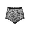 Spitze Taillen-Slip INVISIBLE CARMEN Schwarz Von Cadolle -MAISON LEJABY Verkaufsgeschäft invisible carmen lace high waist panties 1108l schwarz cadolle 2