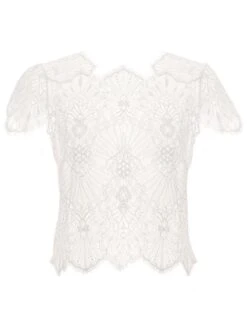 Spitze Kurzarm Top Von Prelude Milano 15 Spitze Kurzarm Top Von Prelude Milano -MAISON LEJABY Verkaufsgeschäft kurzarm top spitze yl277.seta 1 prelude milano