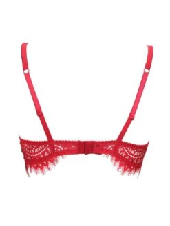 BLACK SWAN Spitzen Push Up BH Von Prelude Milano -MAISON LEJABY Verkaufsgeschäft push up bh pads spitze ys285 rot black swan prelude milano 3