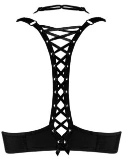 Push-Up BH ANGEL OF HARLEM Schwarz Von Marlies Dekkers 11 Push-Up BH ANGEL OF HARLEM Schwarz Von Marlies Dekkers -MAISON LEJABY Verkaufsgeschäft push up bh schwarz 19801 angel of harlem marlies dekkers 1