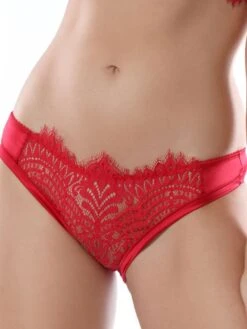 Slip BLACK SWAN Mit Spitze Von Prelude Milano 14 Slip BLACK SWAN Mit Spitze Von Prelude Milano -MAISON LEJABY Verkaufsgeschäft slip spitze yd280 rot black swan prelude milano 5