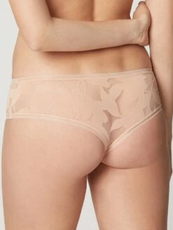 MAISON LEJABY Ausbrenner Tanga Panty VENUS Von Maisonlejaby -MAISON LEJABY Verkaufsgeschäft tanga boxer puder 19566 venus maison lejaby 2