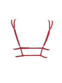 Triangel Longline BLACK SWAN BH Aus Spitze Von Prelude Milano -MAISON LEJABY Verkaufsgeschäft triangel bh longline ys281 rot black swan prelude milano 2 1