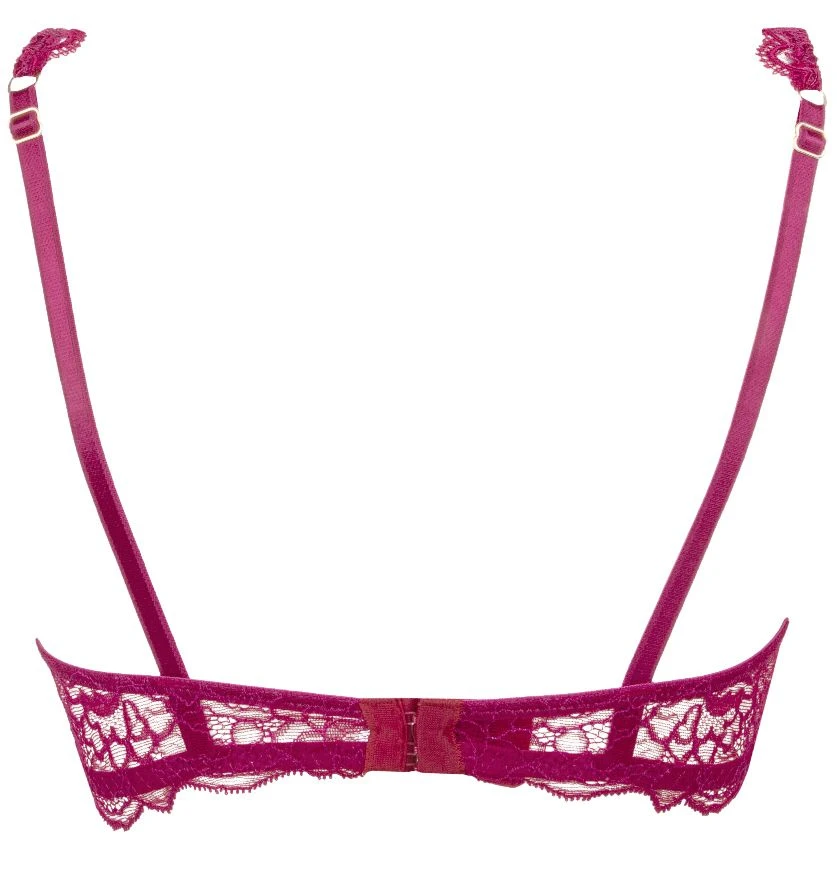 Triangel BH SUBLIME EN DENTELLE Von Lise Charmel 5 Triangel BH SUBLIME EN DENTELLE Von Lise Charmel - Image 3